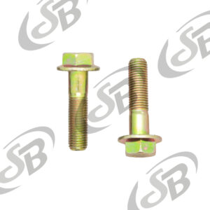 Tornillo Flange